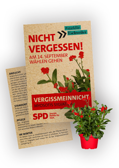 Samentütchen "Vergissmeinnicht"