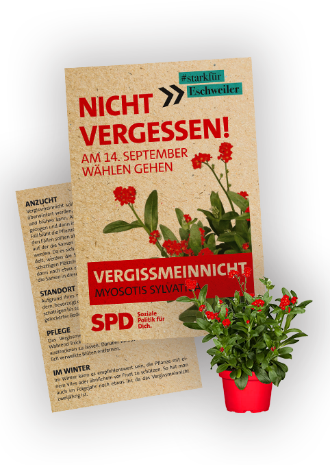 Samentütchen "Vergissmeinnicht"