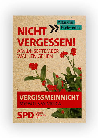 Samentütchen "Vergissmeinnicht"