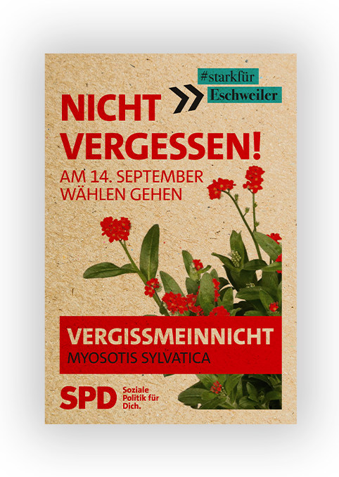 Samentütchen "Vergissmeinnicht"